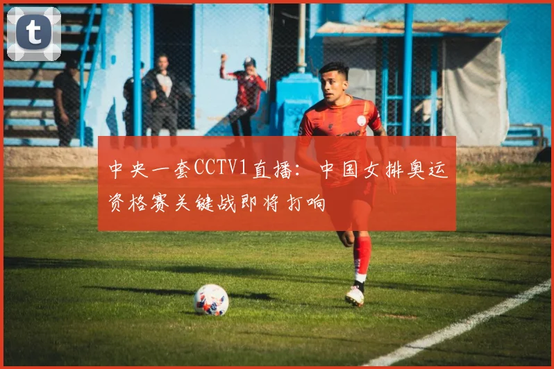 中央一套CCTV1直播：中国女排奥运资格赛关键战即将打响