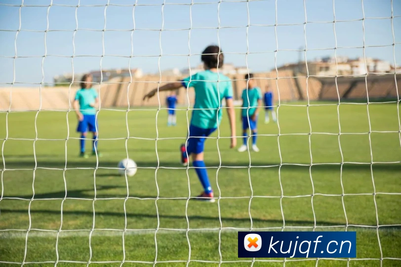 星空体育登录网页入口发展历程